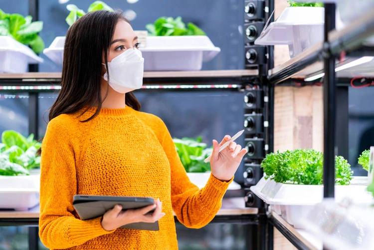 ERP Web Application for the Produce Industry